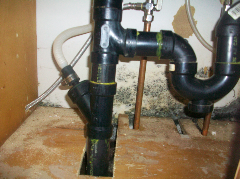 Mold On Pipes